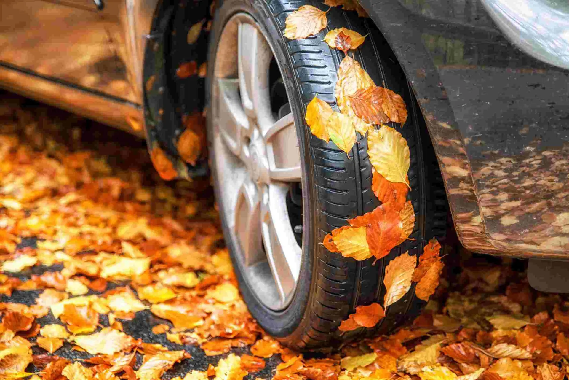 pneu de voiture sur des feuilles d'automne